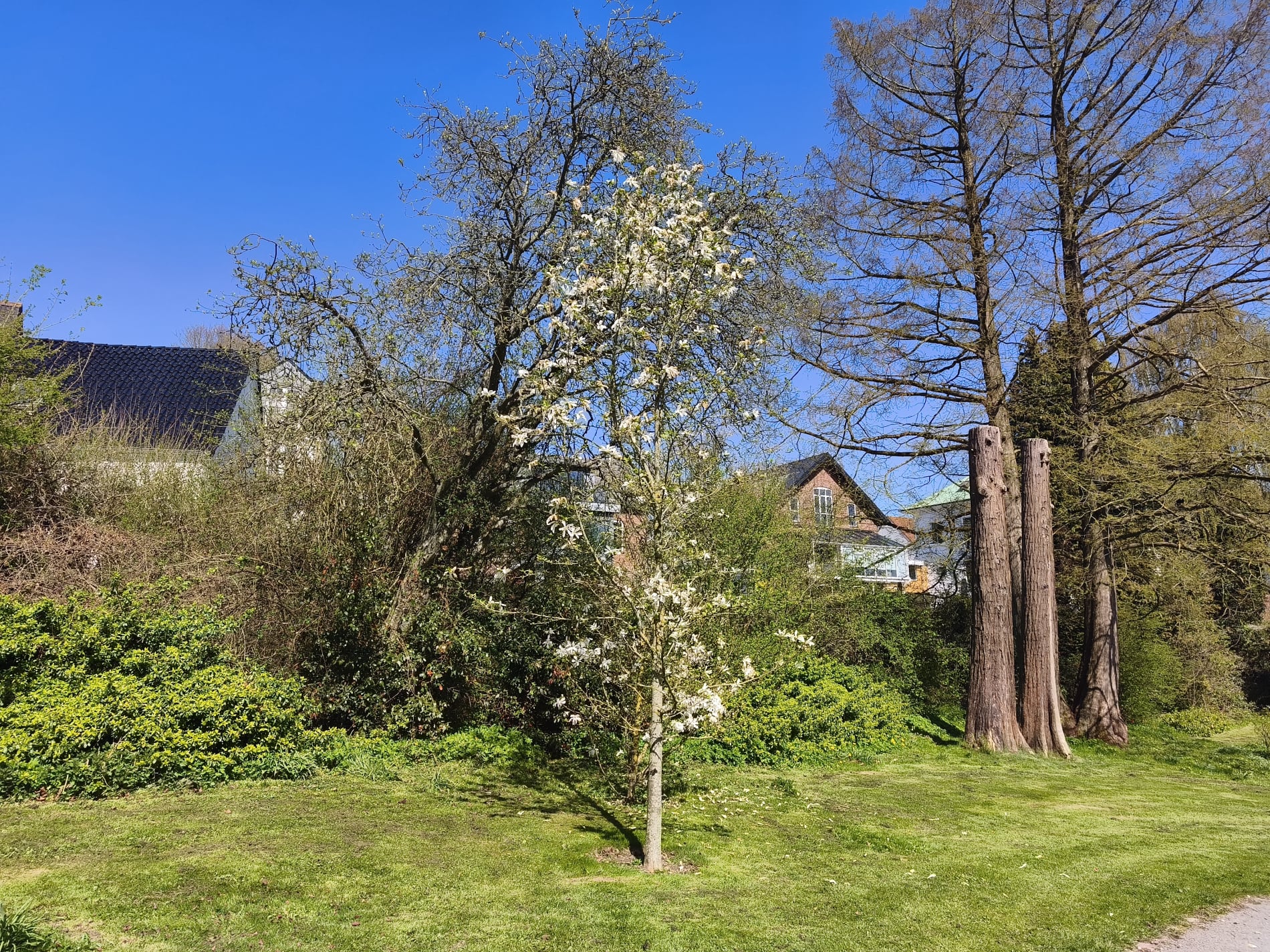 Sct Jørgens Have - April 2026