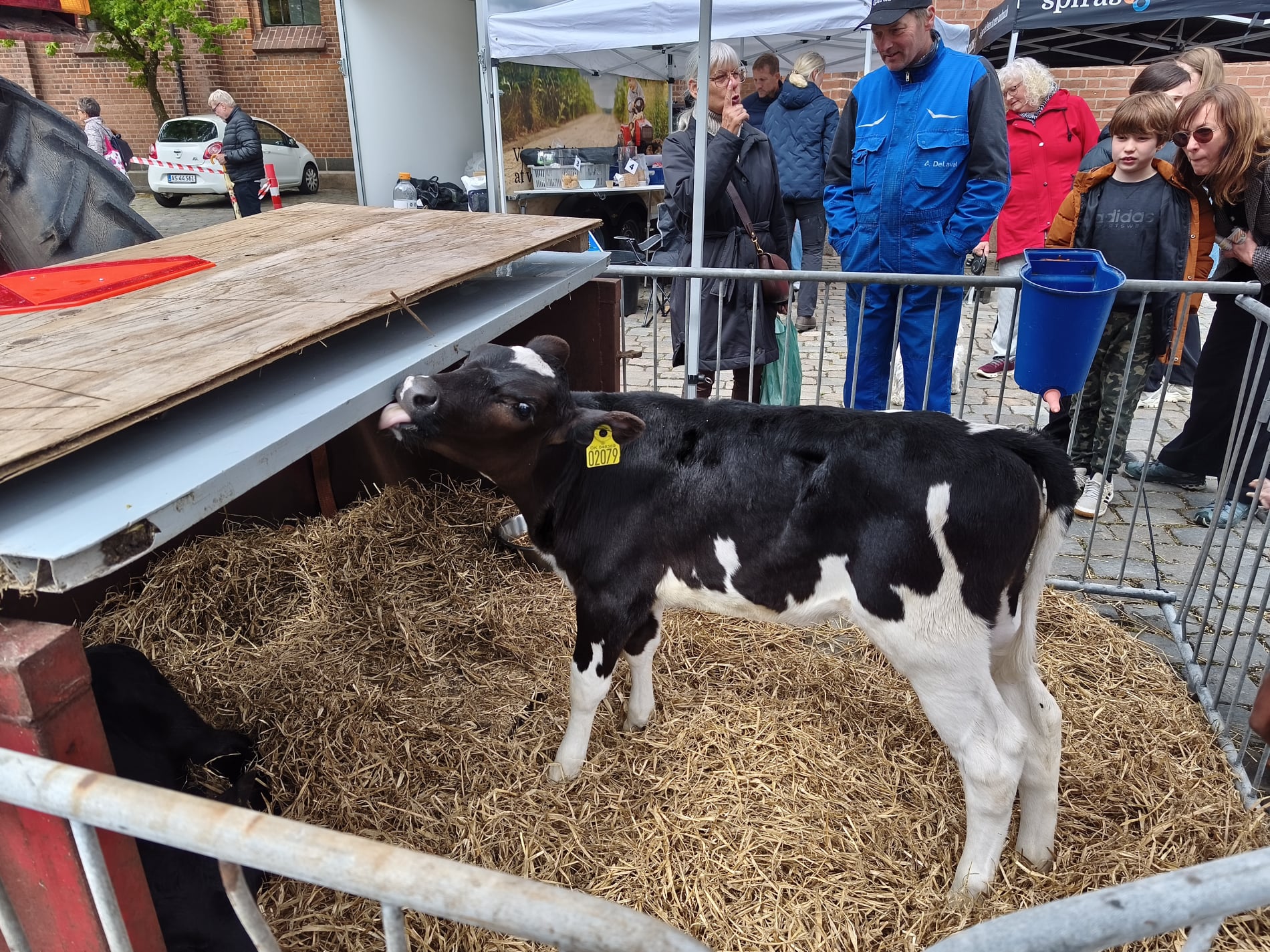 Maj Marked - Landbrug - Nicolai Plads - Maj 2026