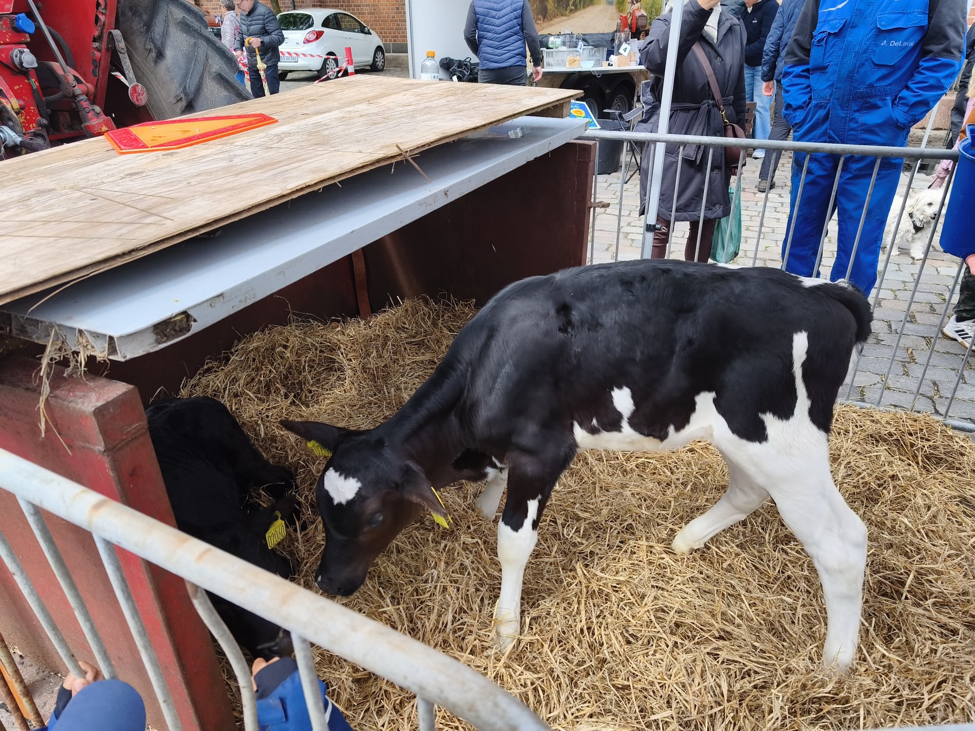 Maj Marked - Landbrug - Nicolai Plads - Maj 2026