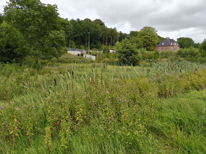 Legeparken - August 2025