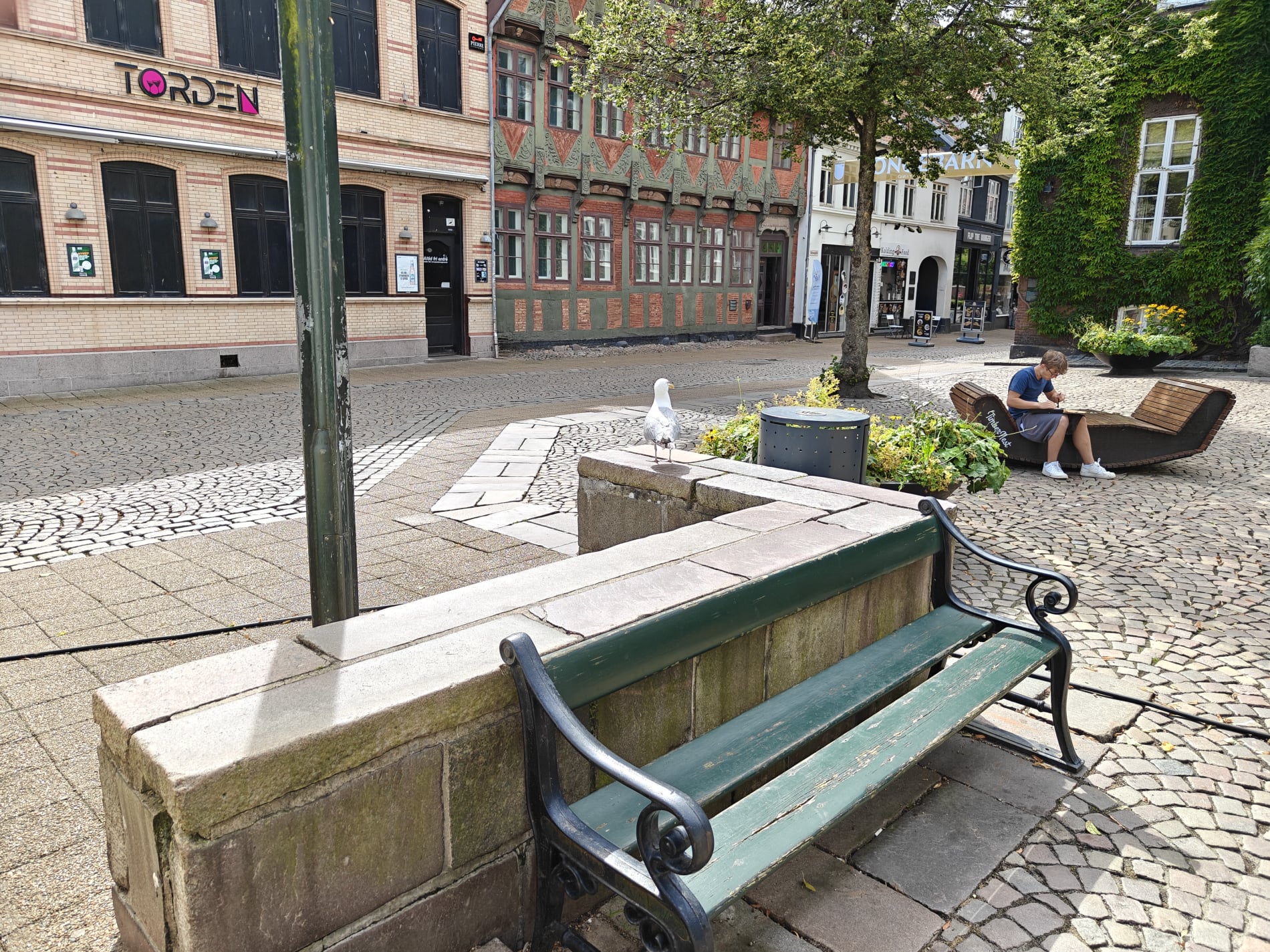 Kolding By - Akseltorvet - Havmåge - August 2025