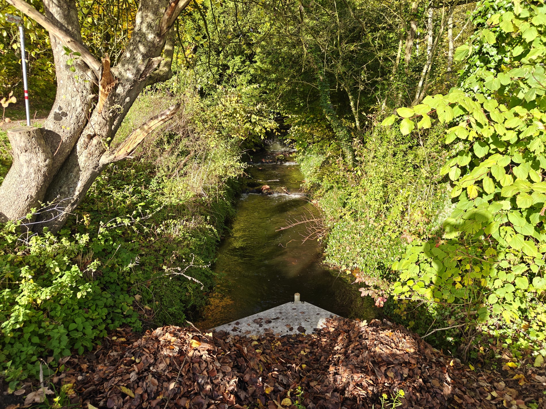 Marielund Efterår 2025