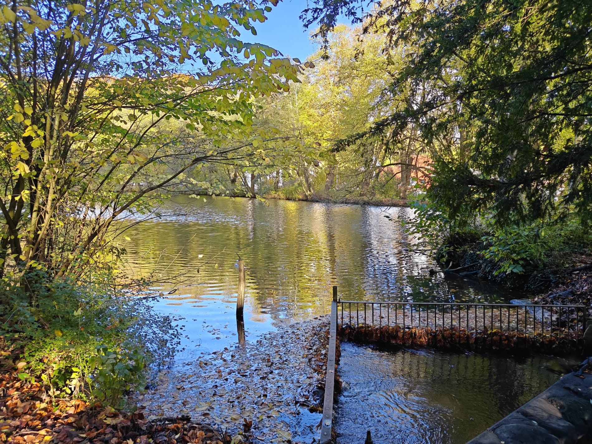 Marielund Efterår 2025