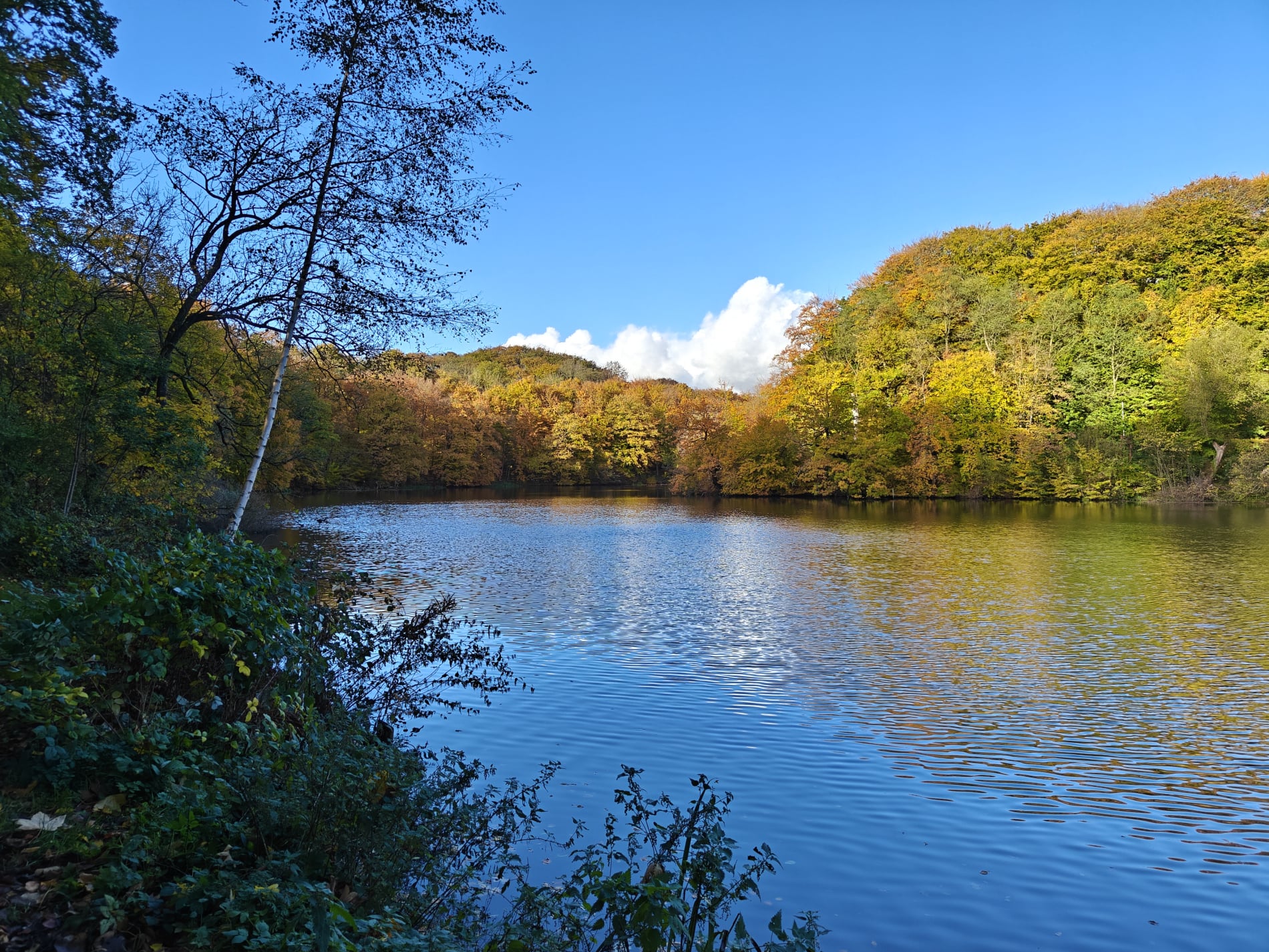 Marielund Efterår 2025