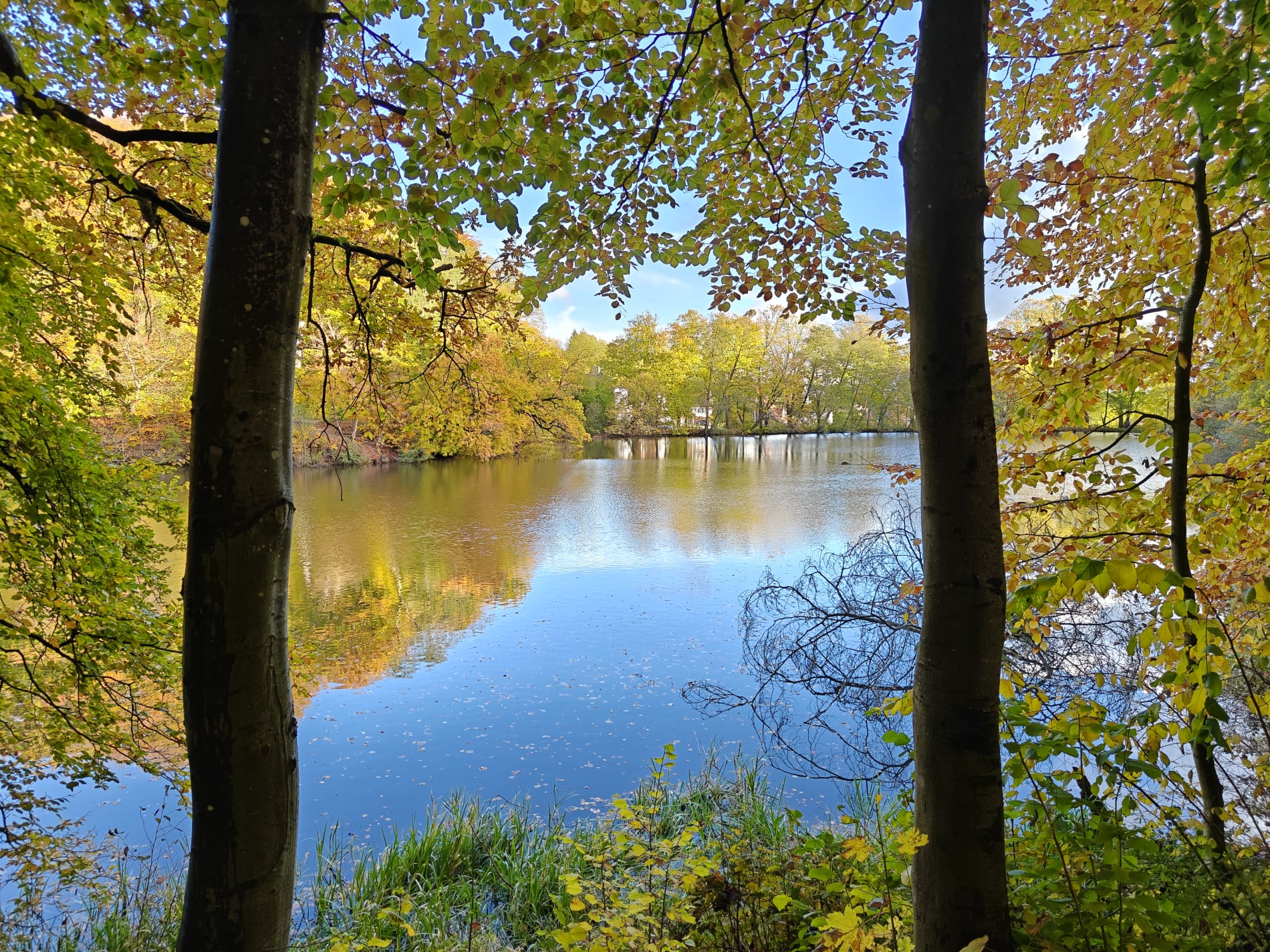 Marielund Efterår 2025