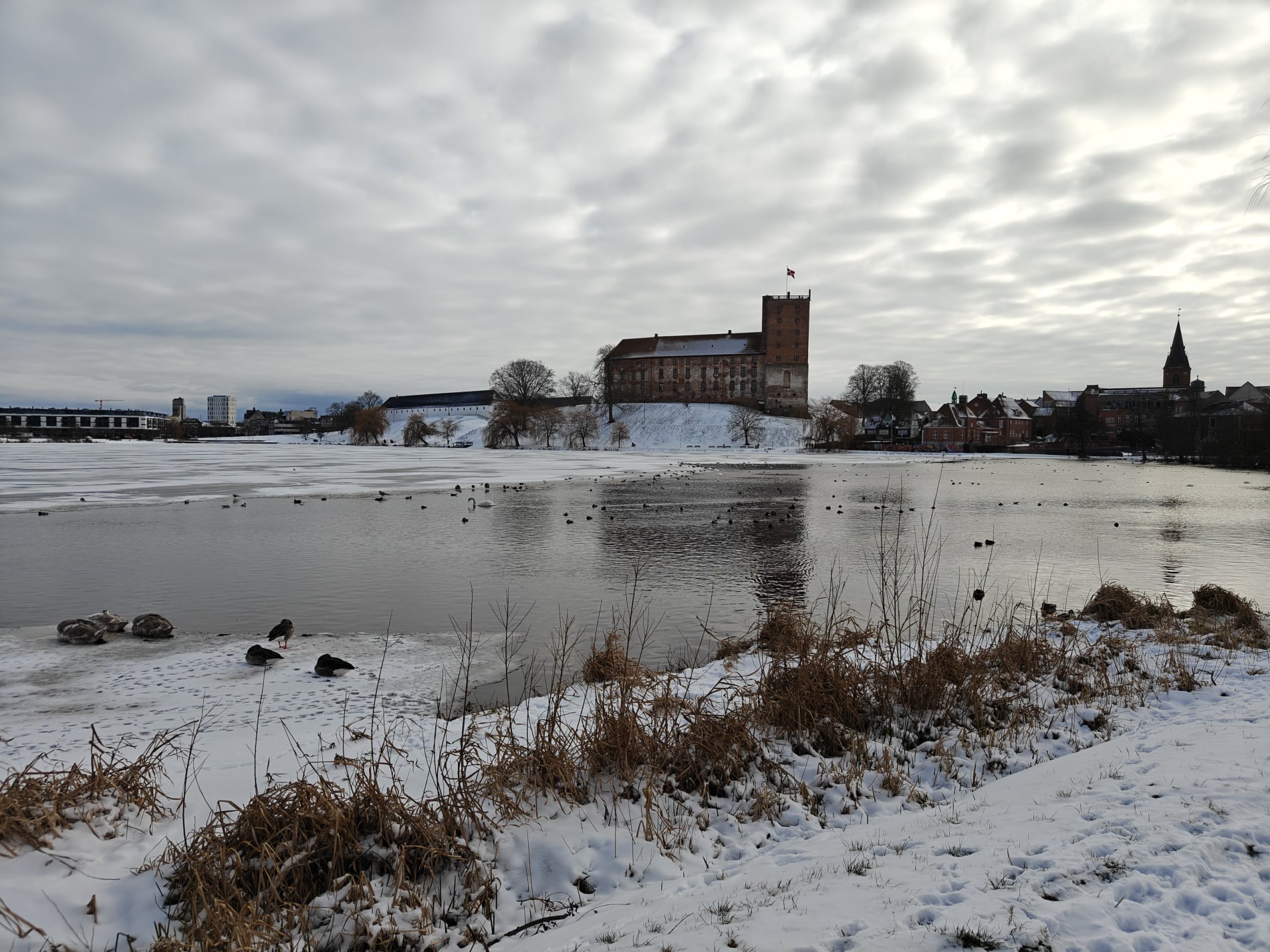 Koldinghus - Februar 2026