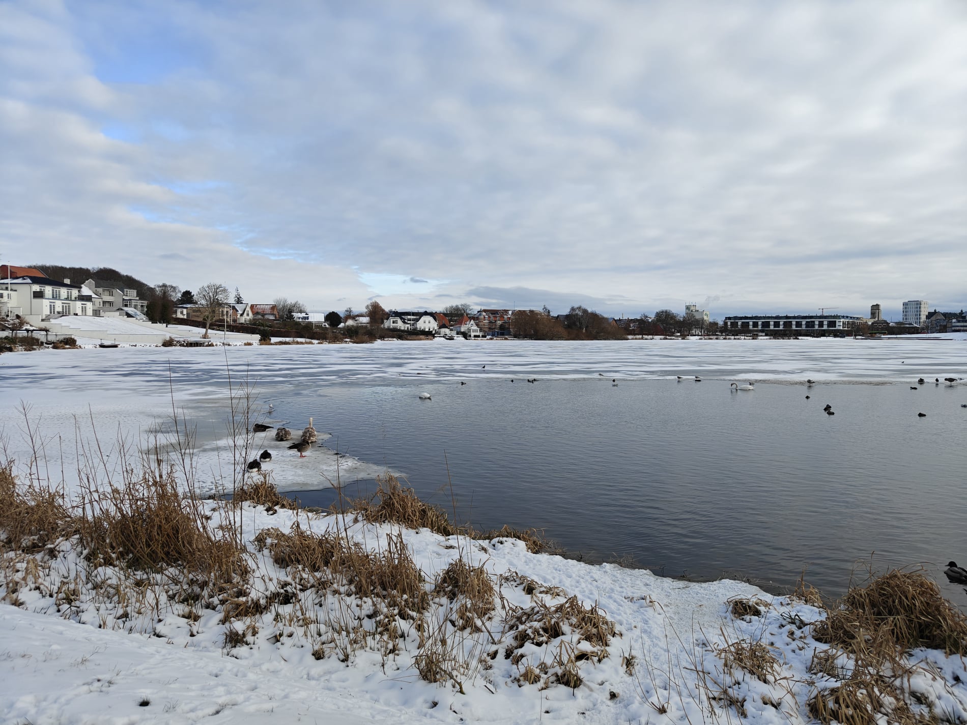 Slotssøen - Februar 2026