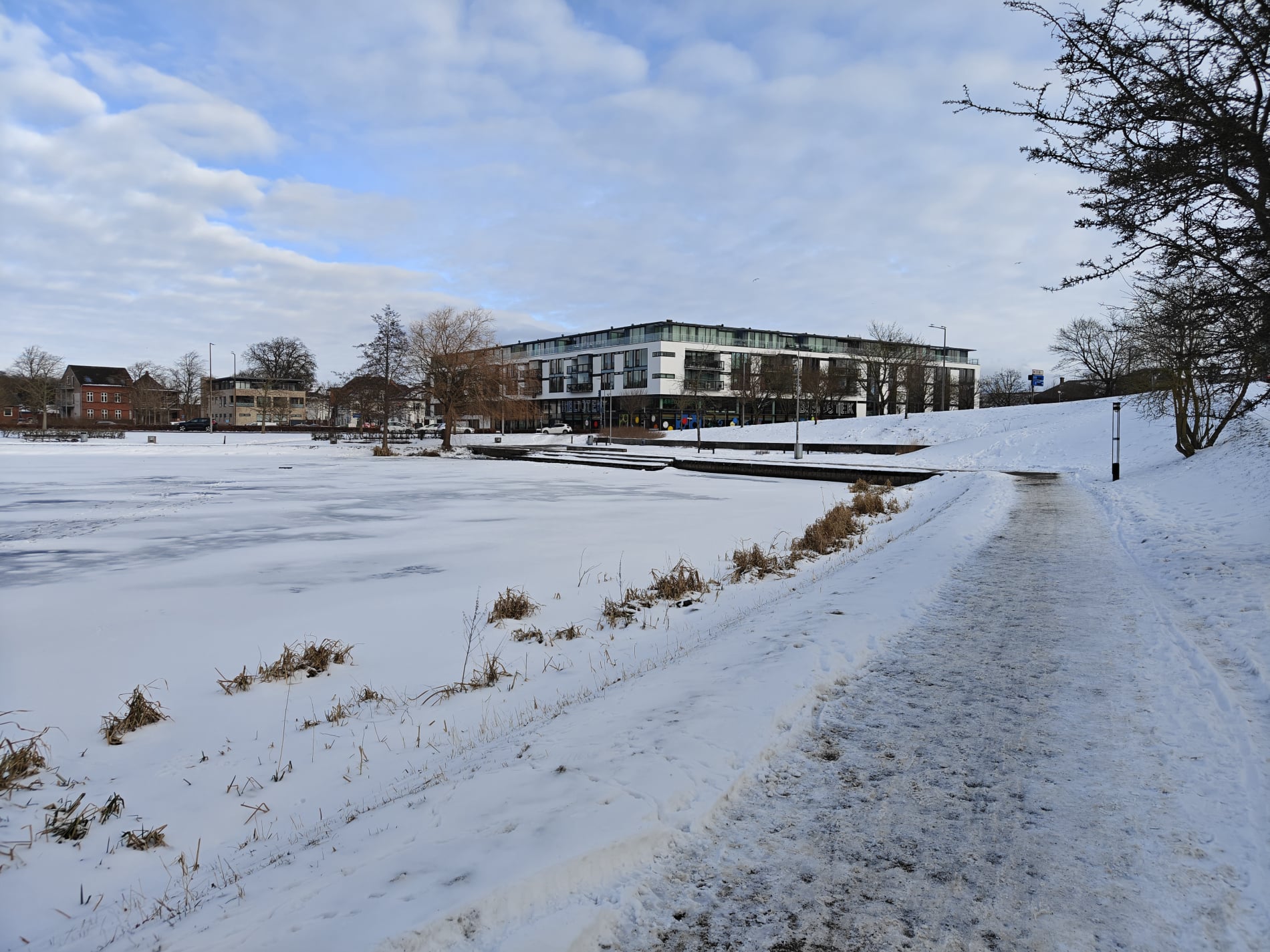 Kolding Bibliotek - Februar 2026