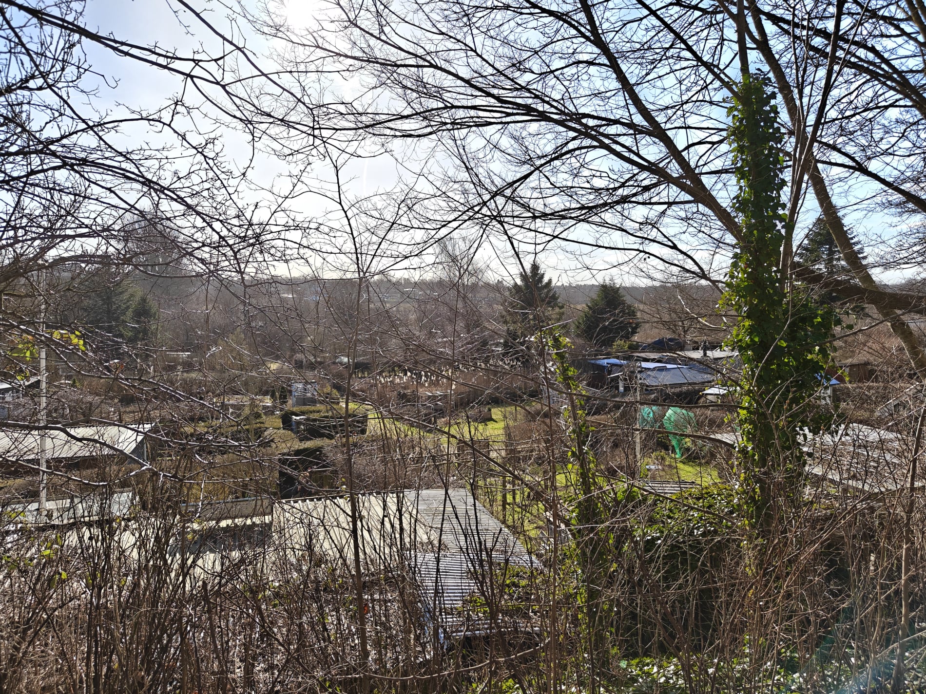 Kolonihaver - Stadionvej - Marts 2026