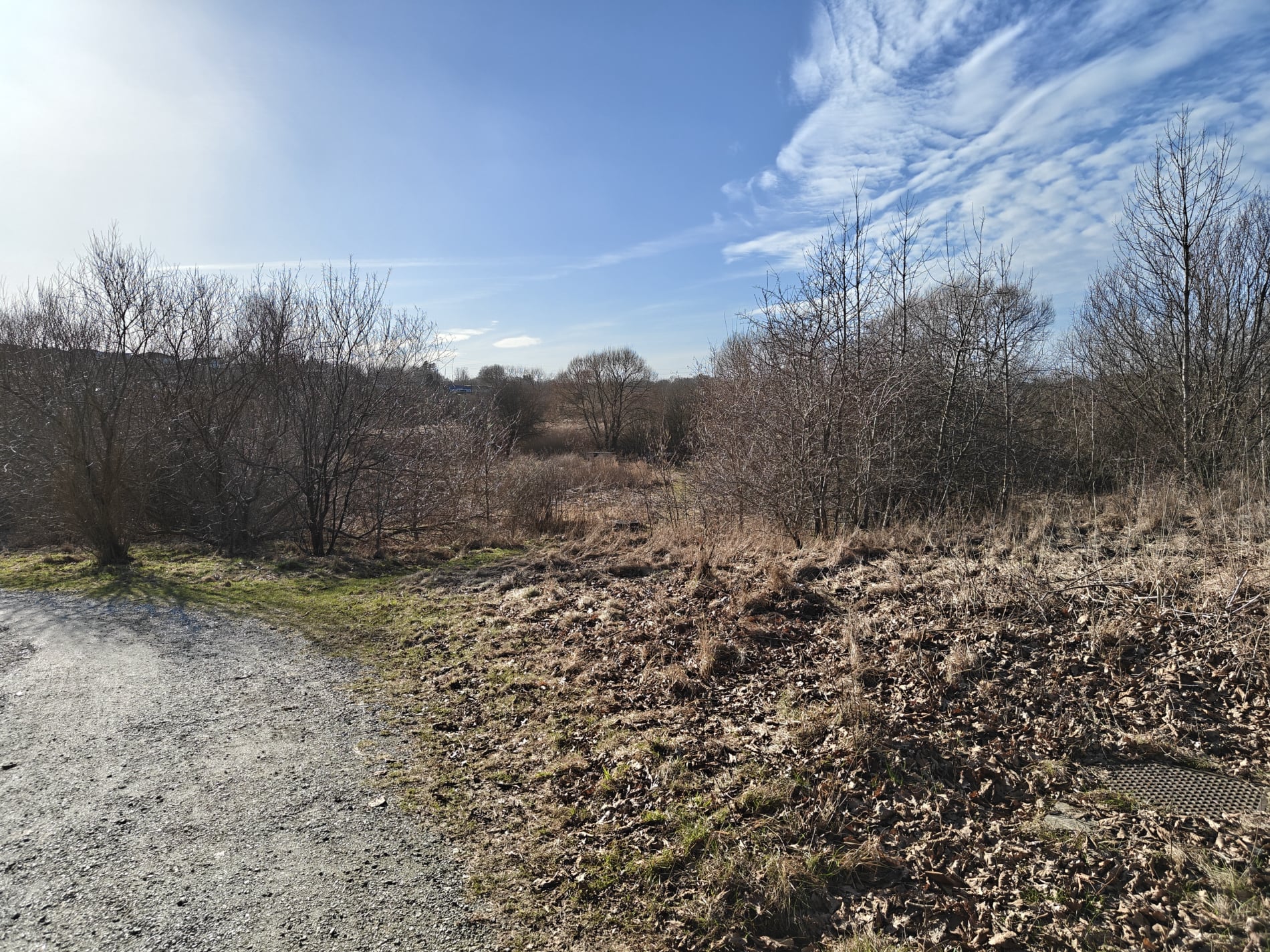 Kolding Ådal - Marts 2026