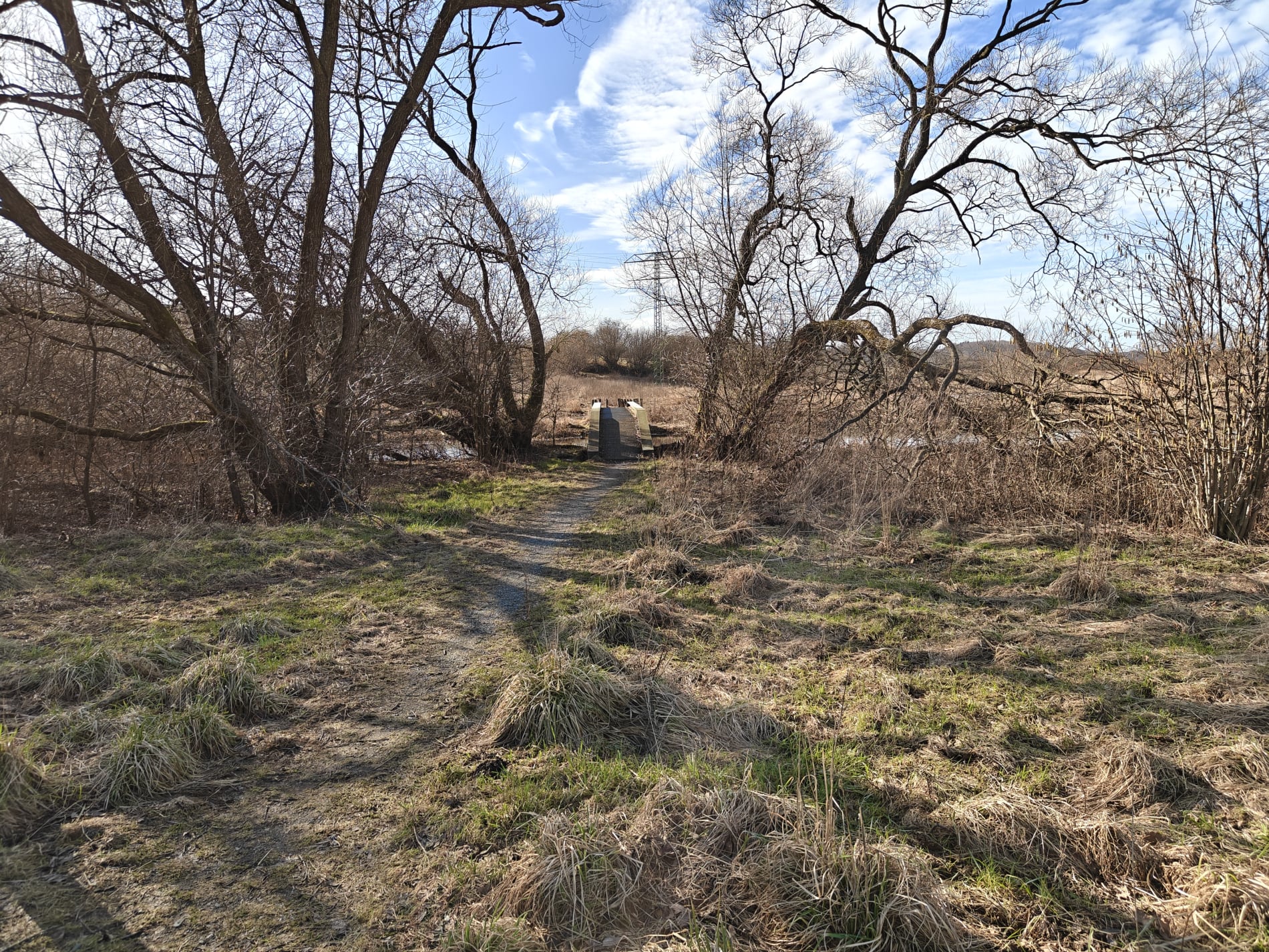 Kolding Ådal - Marts 2026