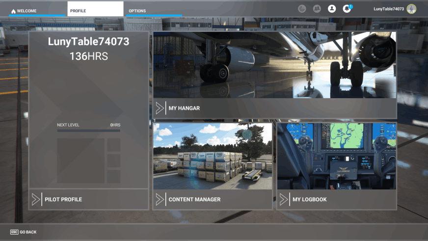 MSFS 2020 - Menu