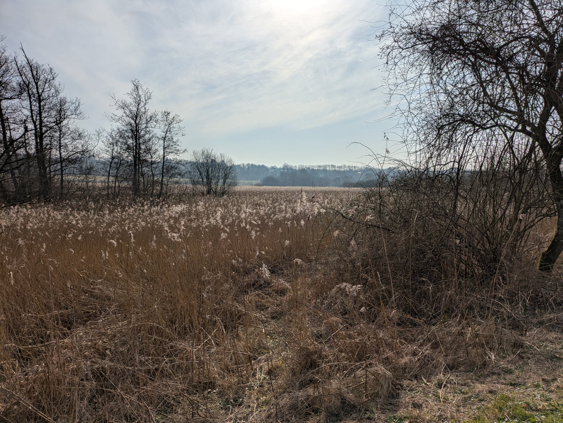 Kavalkade 2025 - Stadionvej